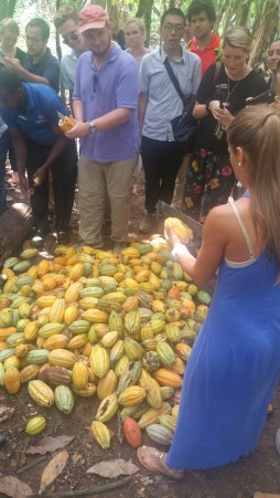 ABOCFA - Students - Open Pods